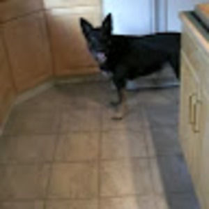 Meet your Posher, Randy